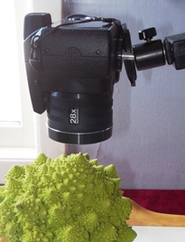 picture of a camera and Italian broccoli